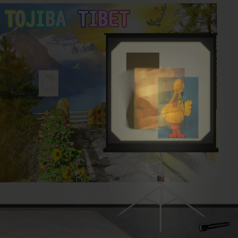 675